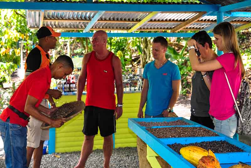 Jungle Rally guest watch coffee production with local guide in Anamuya - Punta Cana