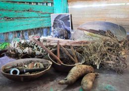 Dominican dried herbs used for natural remedies - Outback Adventures Punta Cana