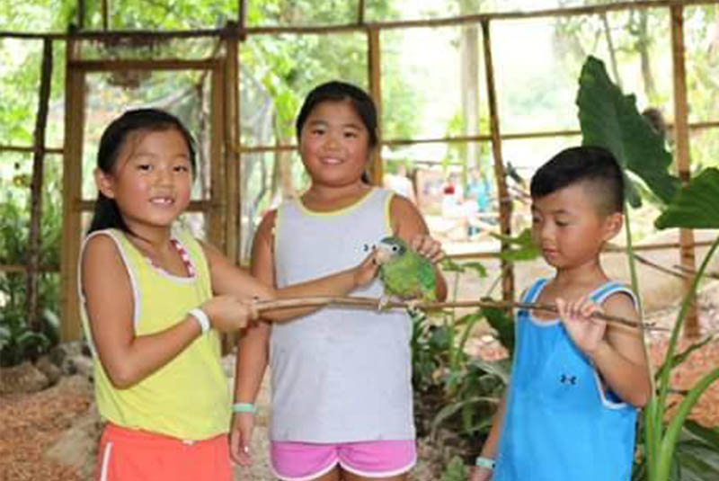 children interacting with parrot on Outback Ranch - Dominican Republic