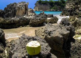 Coconut drink on a rock in Macao Beach - Outback Adventures Dominican Republic